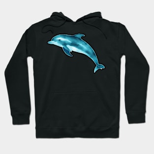 Dolphin Hoodie